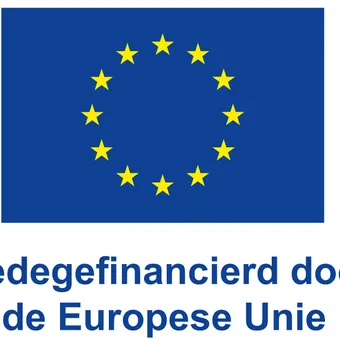 Logo EU Medegefinancierd Vierkant 0