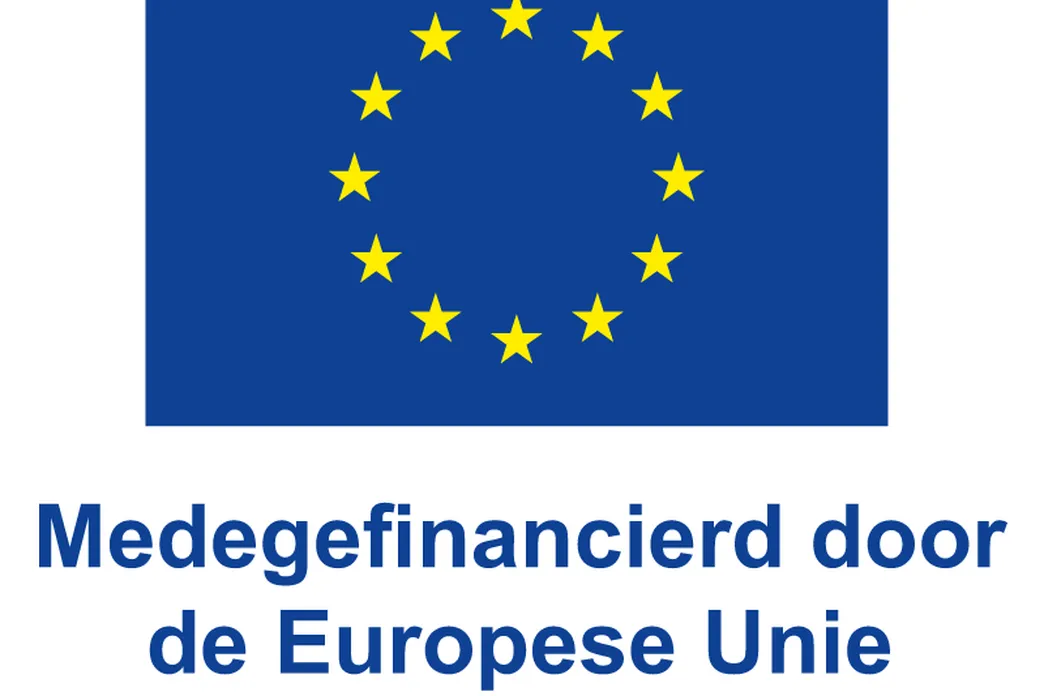 Logo EU Medegefinancierd Vierkant 0