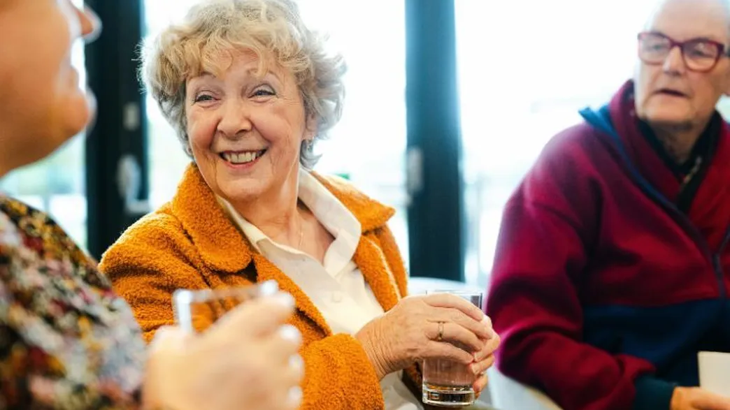 Odensehuis Drenthe afbeelding