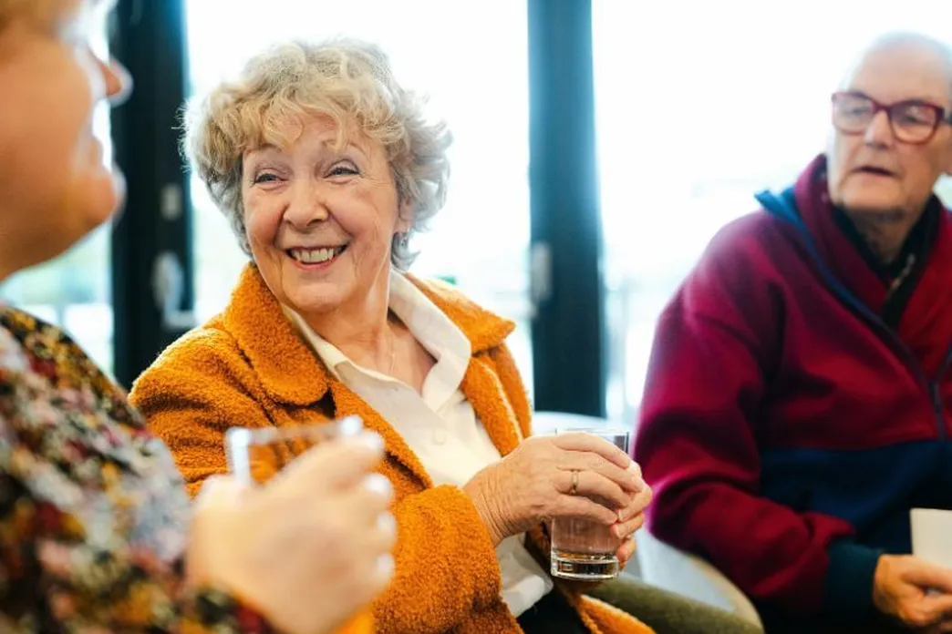 Odensehuis Drenthe afbeelding
